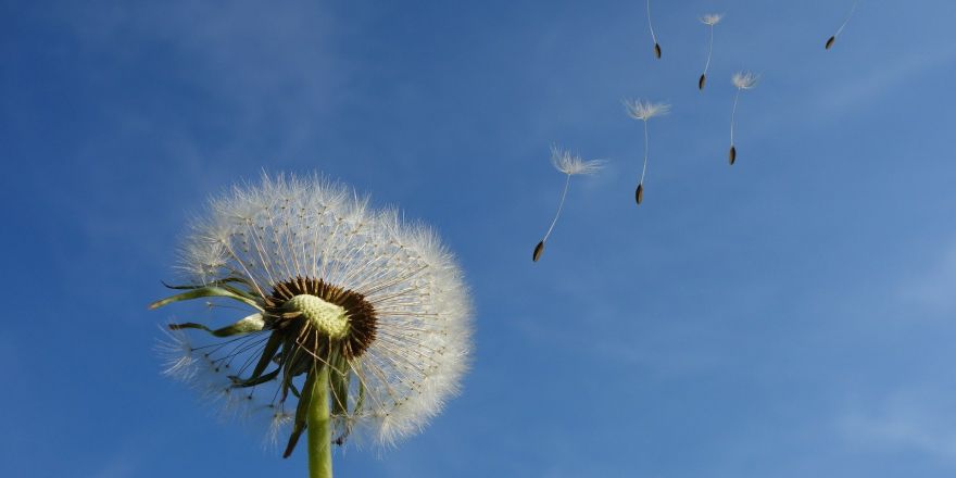 wind, schrijfwoordenboek, personificaties