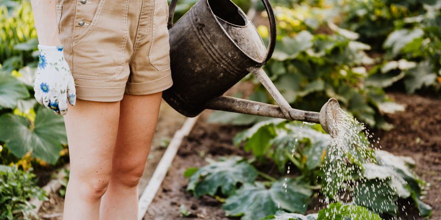 Vrouw geeft planten water