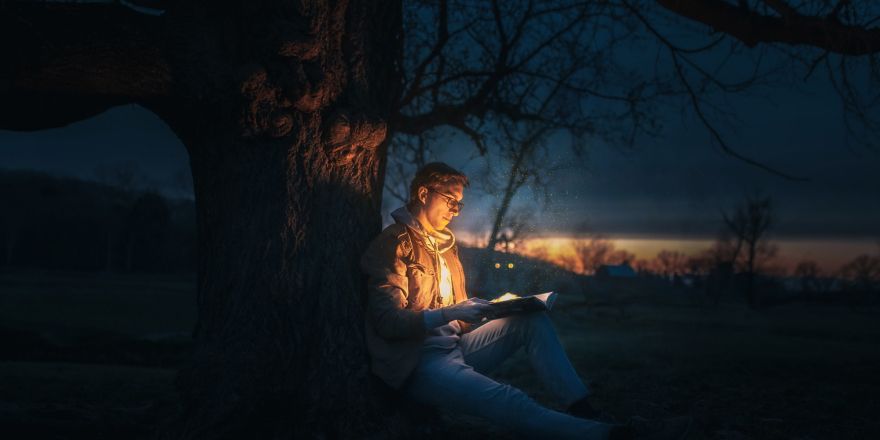 man zit tegen boom en leest boek waar licht uitkomt