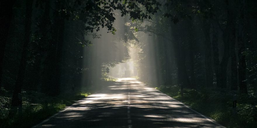 mistige weg door het bos