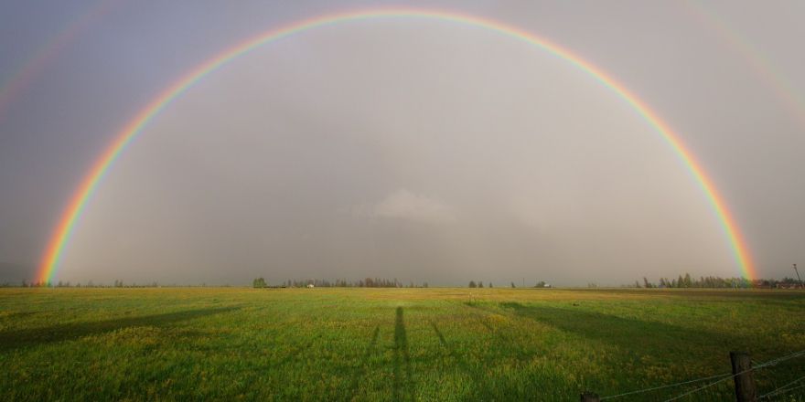 Regenboog in het gras