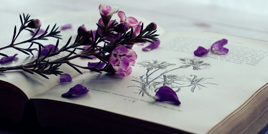Book with flowers