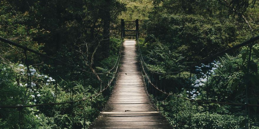 O ze springen en zingen over de brug