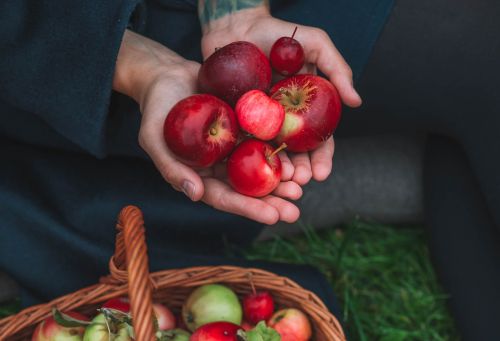 Fruitmand met appels