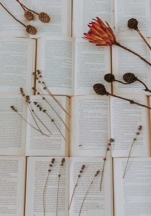 Boeken liggen open met decoratieve gedroogde planten