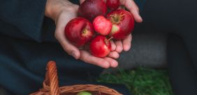 Fruitmand met appels