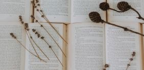 Boeken liggen open met decoratieve gedroogde planten
