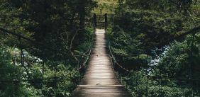 O ze springen en zingen over de brug