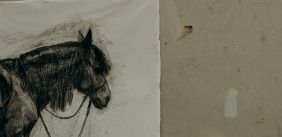 Schets van een paard