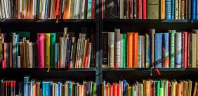 Boekenkast gevuld met boeken