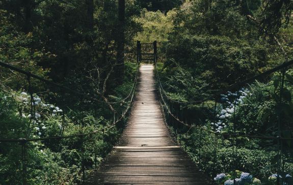 O ze springen en zingen over de brug
