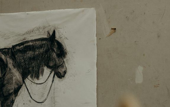 Schets van een paard