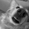 Profile picture for user TunaFish