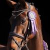 Profile picture for user Holly Sanderson